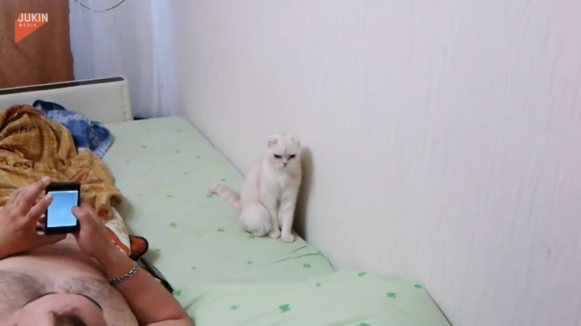影／俄羅斯白貓聽到國歌「反應超萌」　網友大讚：超愛國！