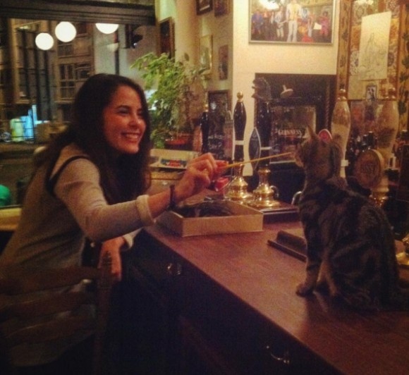 不輸貓咖啡的療癒程度 英國的酒吧好多貓