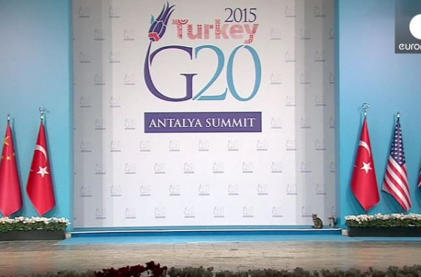 貓咪參加G20Turkey ANTALYA SUMMIT高峰會