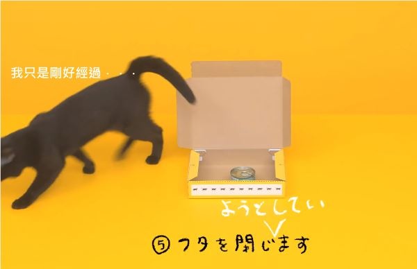 宅急便黑貓教你折便利箱NG版　還是一樣豪可愛啊～