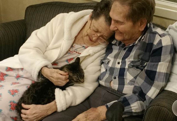 寵毛網／收容所貓咪把愛散播到療養院　被療癒的老人家展笑顏