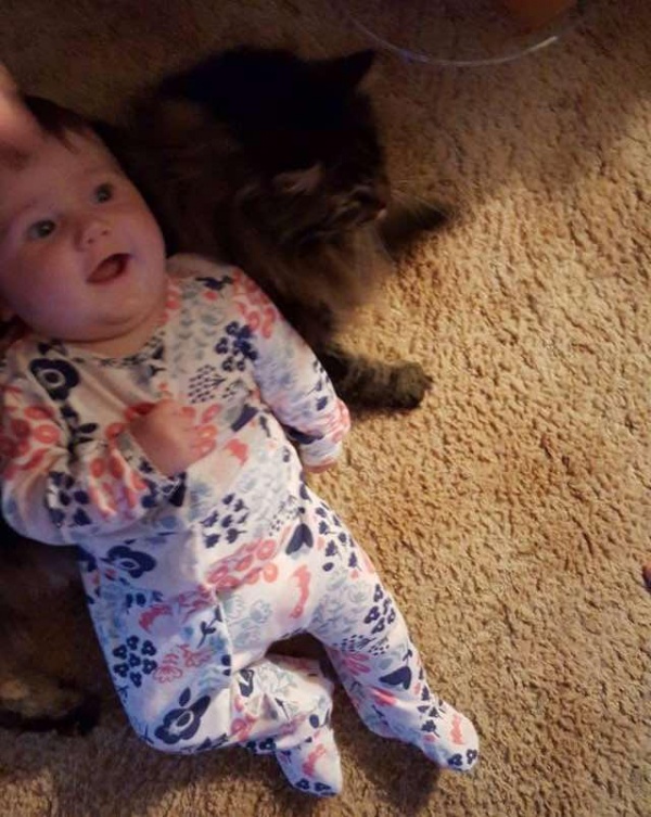 寵毛網／大貓咪牽著未滿一歲小女嬰的手　小心守護不讓跌倒