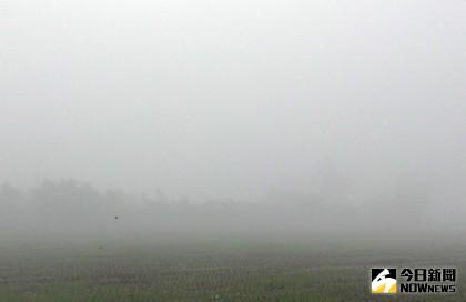 嘉義地區清晨如蒸籠竄起的濃霧整片雲霧飄渺。