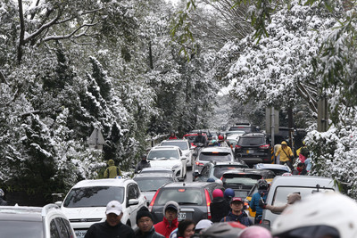 台北市陽明山降雪，24日大批民眾不畏寒風冷雨，車輛陸續湧入。中央社記者徐肇昌攝 105年1月24日