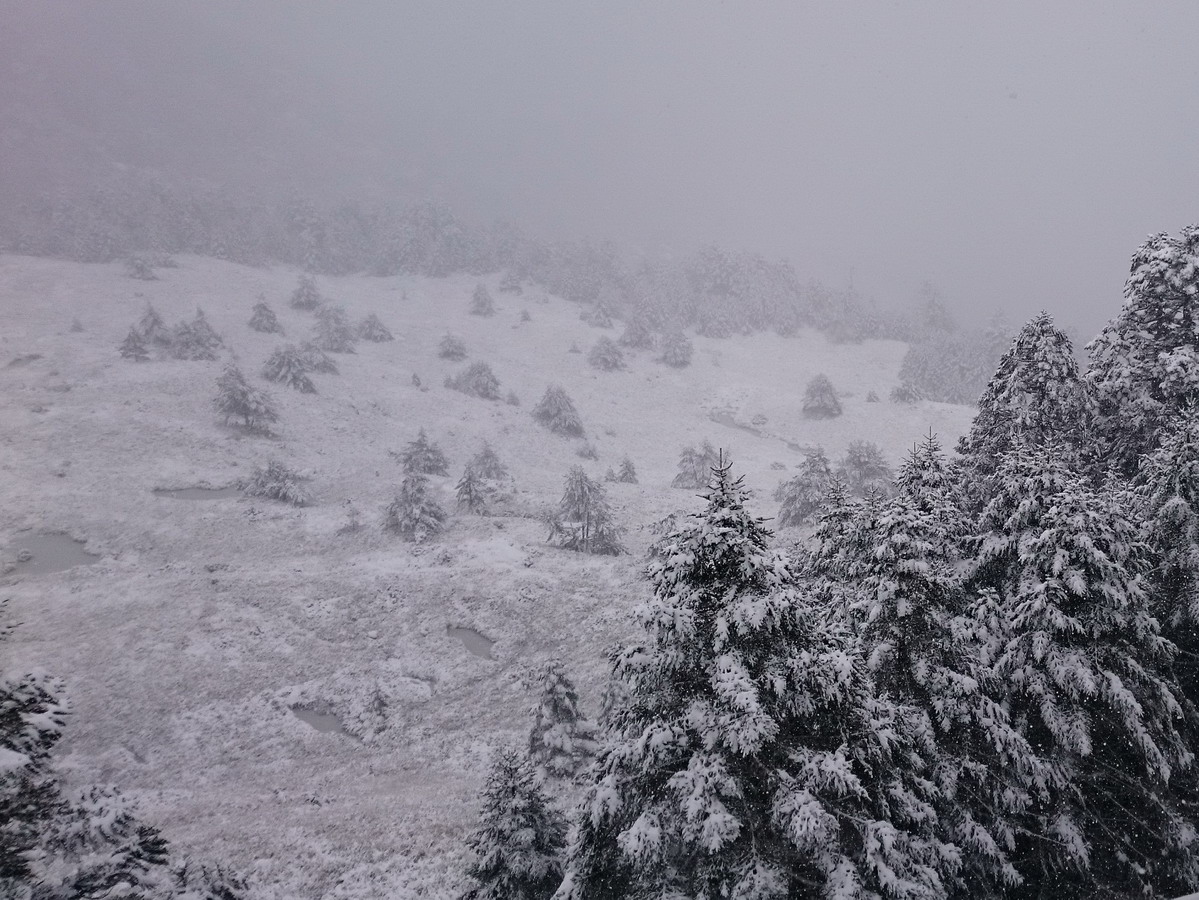 ▲2023大雪節氣是12月7日，命理專家提醒屬羊的人要注意溝通問題，農曆6月、12月出生小心健康警訊。（圖／東勢林區管理處提供）