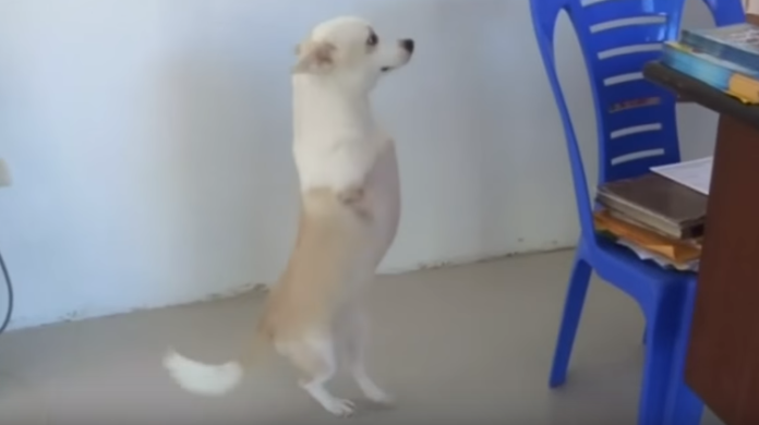 ▲埃斯特雷拉克服殘疾，學會用雙腳走路。（圖／翻攝自YouTube）