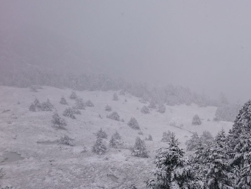 ▲大雪山國家森林遊樂區小雪山天池、神木、資訊站等區域，已呈現一片白皚皚的景觀。〈圖／東勢林區管理處提供〉