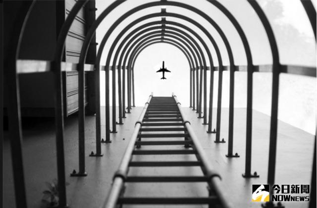 ▲Nikon新加坡支部在臉書公佈這張得獎作品。（圖／翻攝自《鏡報》