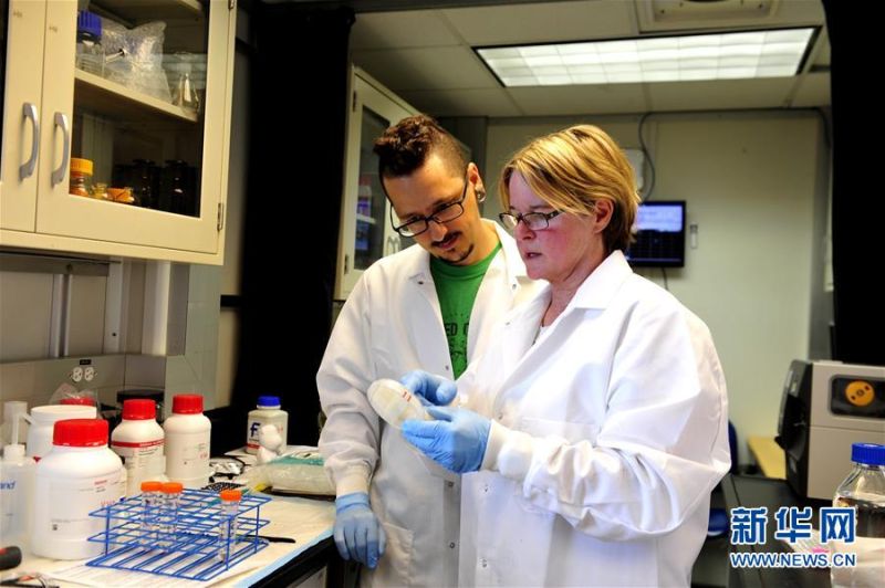 1月16日，在『決心』號大洋鑽探船上，美國微生物學家弗吉尼亞（右）和傑森分析微生物樣品。