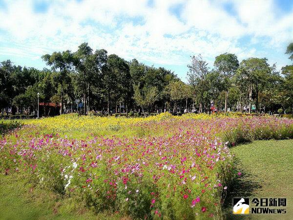 「2016臺南百花祭」2月4日粉墨登場