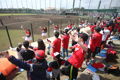 中華職棒Lamigo桃猿隊受邀赴日本石垣島與日本職棒羅德隊打「2016亞洲門戶交流賽」2場比賽，14日第2戰吸引3500名球迷，賣力為球隊加油打氣。中央社記者張新偉石垣市攝　105年2月14日