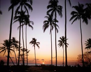 ▲世界知名的富比世撰文指出2016年全球10大省錢旅遊目的地，馬來西亞檳城州喬治城排名第1。全馬來西亞國度則名列第8。（圖／馬來西亞觀光局提供）