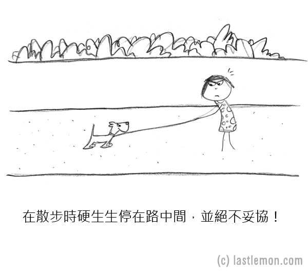 寵毛網／如何當一隻狗？有點白目的狗狗插畫讓人哭笑不得