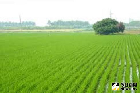 ▲向農業生產力4.0 穀倉管理智慧化、數位化。（圖／翻攝自網路）