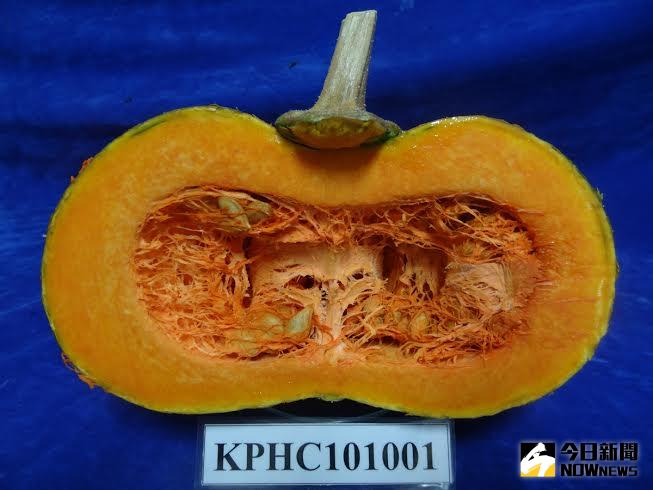▲果實縱剖面。（圖／公關提供）
