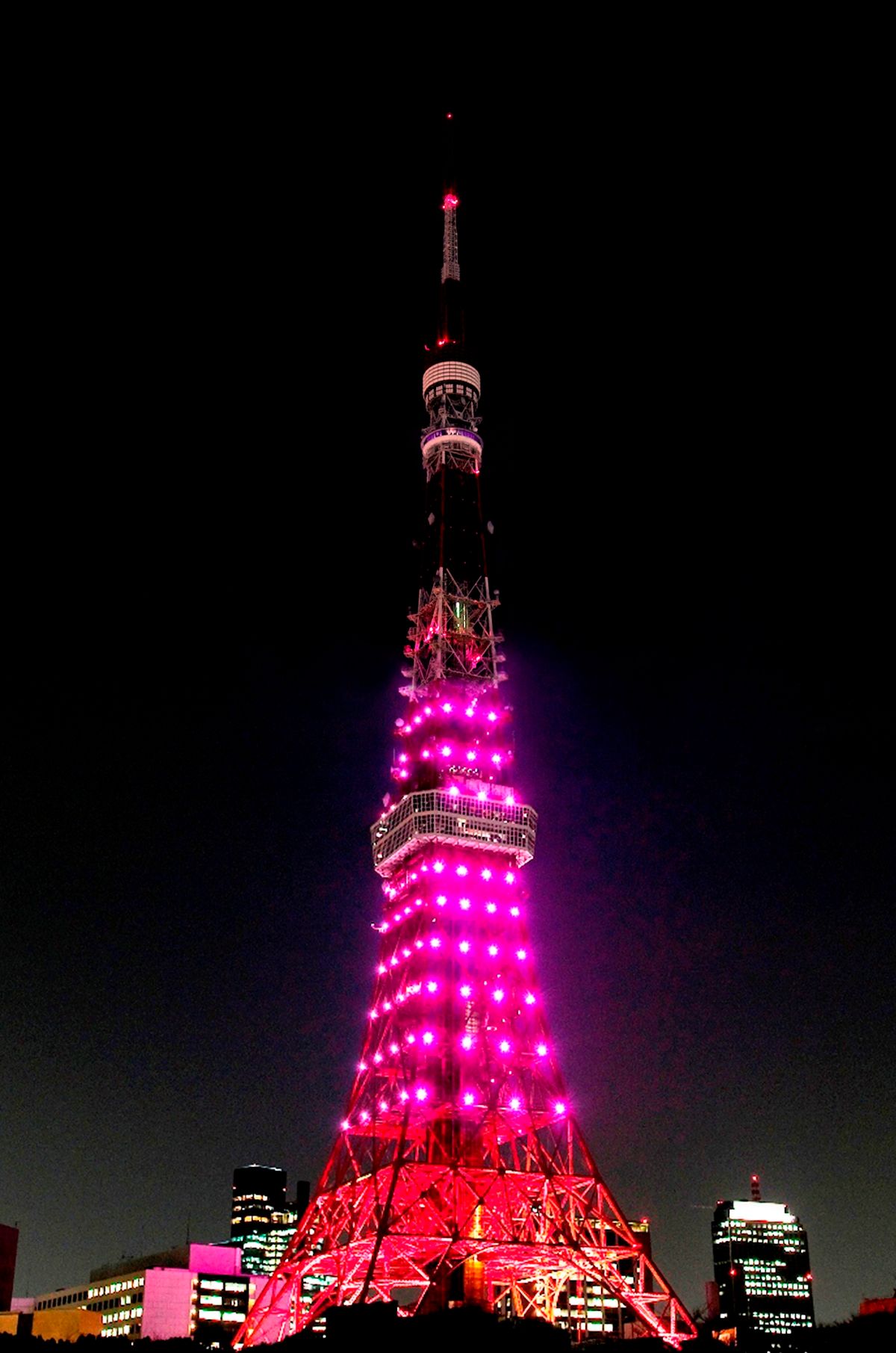 ▲東京鐵塔宣布重新開放。（圖／翻攝自東京鐵塔官網）