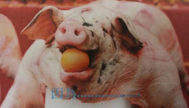 ▲彰化一名男子因玩遊戲輸不起，竟多次在線上以圖片和文字羞辱女玩家。（圖／社會中心翻攝）