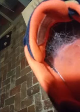 ▲澳洲一名男子在兒子的球鞋裡，意外翻到一隻黑色蜘蛛，引起關注。（圖／翻攝自YouTube）