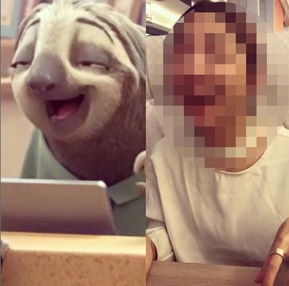 ▲柴智屏的女兒高雋雅在臉書上分享，模仿樹懶的樣貌，相似程度讓網友噴笑。（圖／翻攝自臉書「高雋雅Clover」）