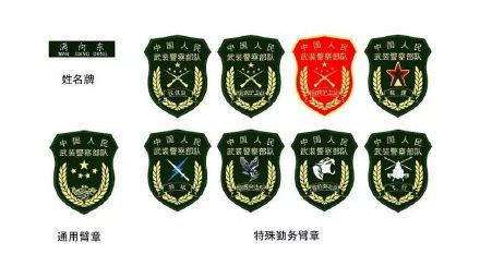 武警部隊機關2月29日開始佩戴新式姓名牌、胸標、臂章。