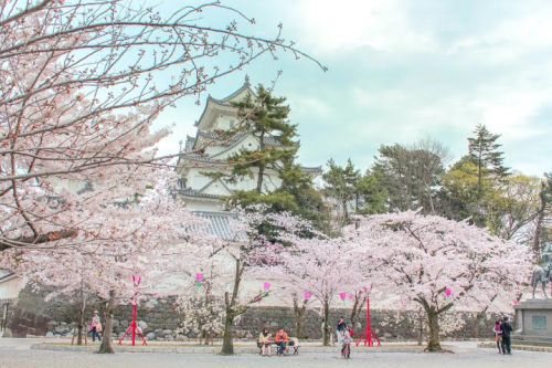 ▲2023年12月1日至2024年1月31日至「沐選」單筆消費滿600元，就有機會抽中台北至名古屋來回機票乙張。（圖／資料照，威航提共）