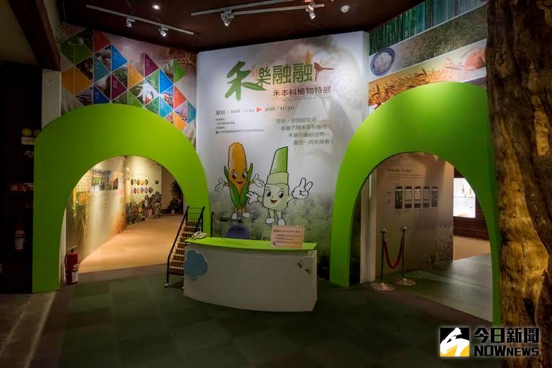 ▲保育教育館目前正舉辦「禾本科植物特展」。（圖／公關提供）