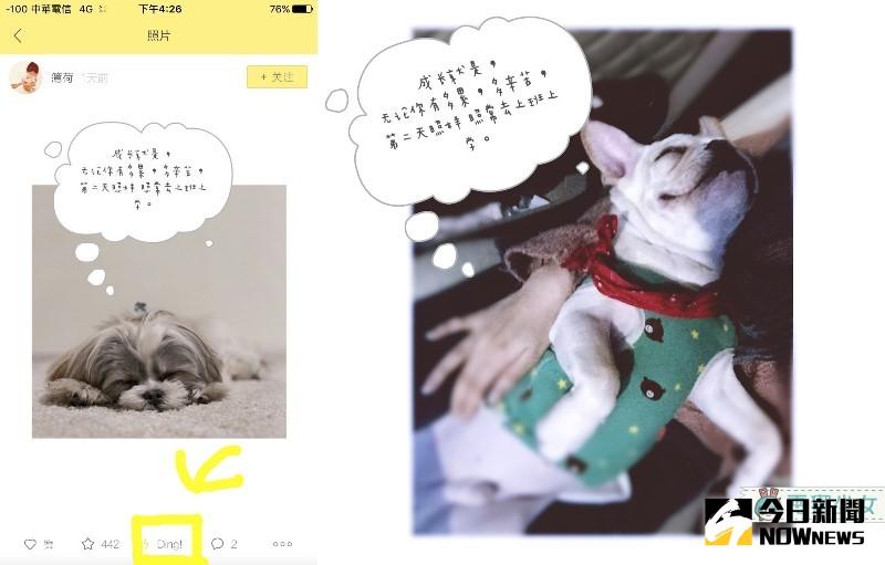 ▲圖／電獺少女提供