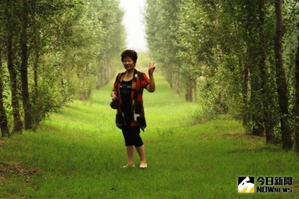 當年的沙漠如今已是綠樹成蔭。