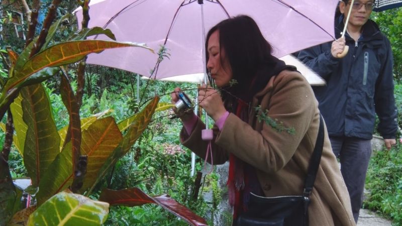 ▲絕佳私房景點　「深坑青山香草園」邀你品好茶賞美景