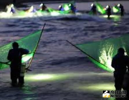 ▲捕鰻苗是個時機財，農委會宣布將結束補鰻苗季。（圖／翻攝自網路）