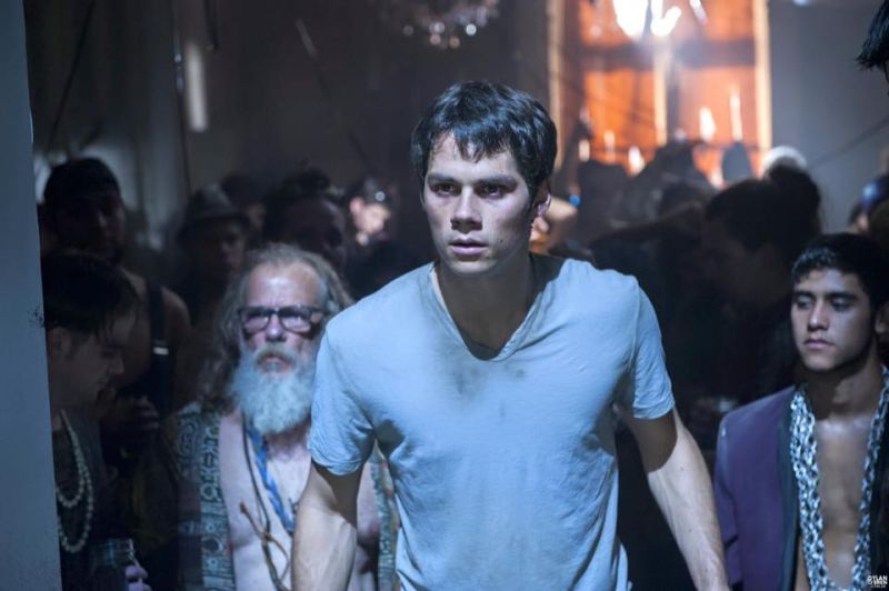 ▲狄倫歐布萊恩拍攝遭追撞，導致多處骨折。（圖／翻攝自狄倫歐布萊恩臉書，2016.03.19）