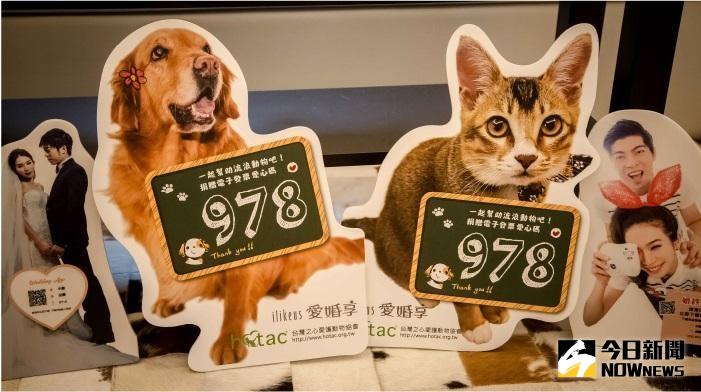 ▲《愛婚享》與台灣之心愛護動物協會合作，推出愛心寵物立牌。（圖／翻攝自雙影創藝愛婚享）