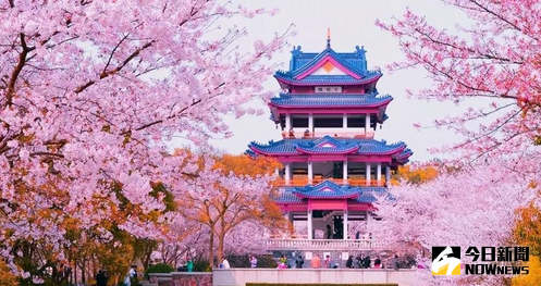 無錫黿頭渚風景區