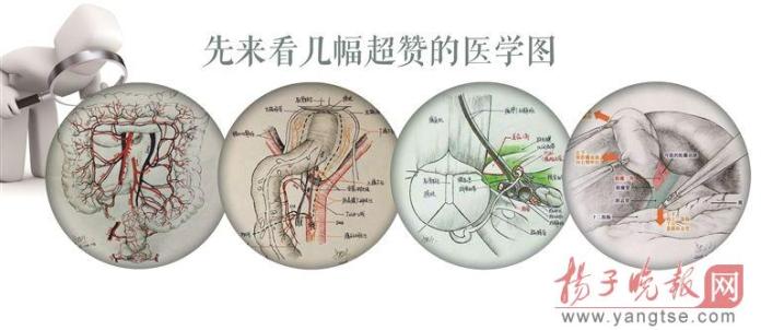 網紅醫生手繪手術解剖圖，患者「秒懂」手術過程。