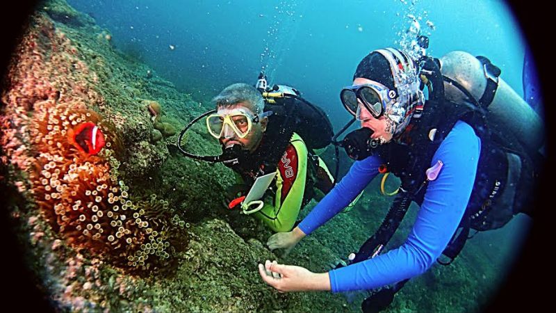 ▲馬來西亞西巴丹島可以看見非常壯觀的水底景致。（圖／馬來西亞觀光局提供）