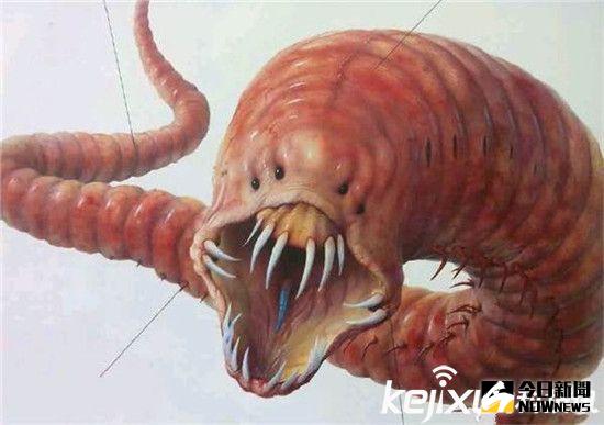 蒙古死亡之蟲。