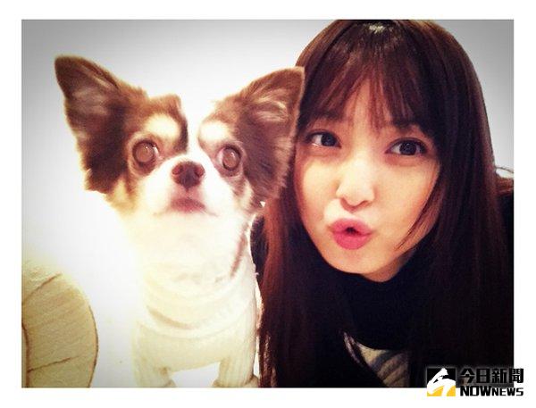 ▲佐佐木希的臉和愛犬一樣大。（圖／翻攝自モデルプレス推特）