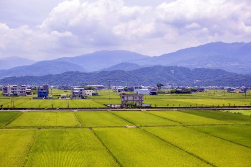 北宜高鐵遭批「盲腸」、6000億錢坑　鐵道局：重大建設應回歸專業
