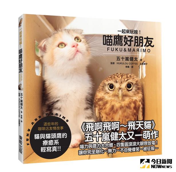 ▲《一起來玩嘛！喵鷹好朋友FUKU & MARIMO》即將由台灣東販推出。（圖／台灣東販提供）