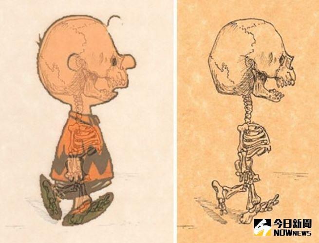 ▲卡通人物的骨骼？皮卡丘太驚悚。（圖／翻攝自TheChive）