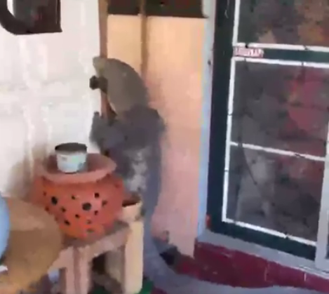 ▲家門口驚見巨蟒，身長約2公尺。（圖／翻攝自臉書）