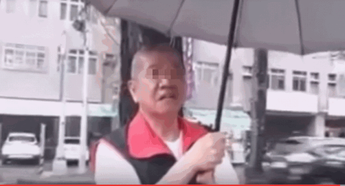 ▲自稱公民記者的台灣民政府洪姓女子當街辱罵老榮民。（圖／翻攝自YouTube）