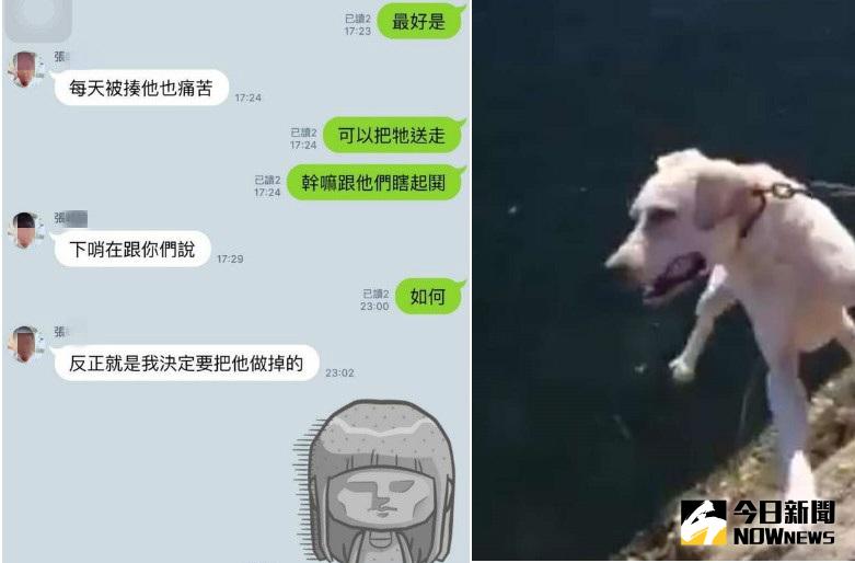 ▲。（合成圖／NOWnews）