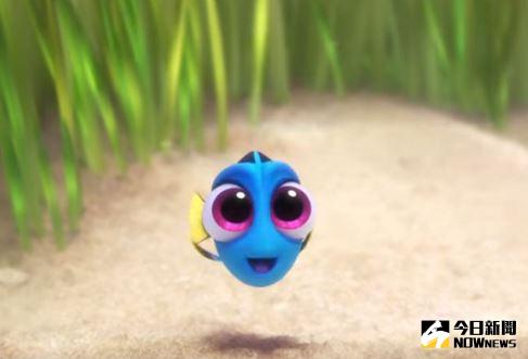 ▲多莉怎麼成孤兒？《海底總動員2》這片段說明真相。（圖／翻攝自YouTube）