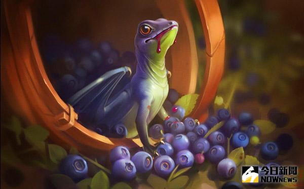 藍莓神龍。