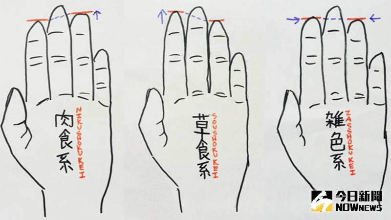 ▲無名指長度看男人內心，最專情的是這種。（圖／翻攝自RocketNews24）