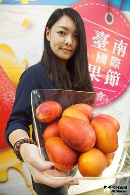 隨著進入盛夏芒果產季也到來，台南市政府17日在農委會舉辦台南國際芒果節記者會，邀請民眾在盛夏到台南觀光，品嚐各式芒果美食，圖為台南產的愛文芒果。中央社記者王飛華攝 105年6月17日