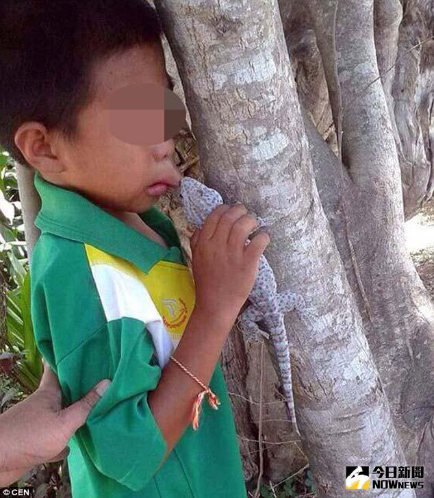 ▲泰國一名男童被蜥蜴狠咬上唇，忍不住放聲大哭。（圖／翻攝自dailymail）