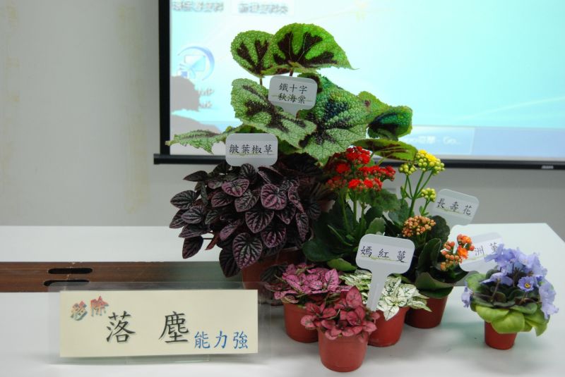 ▲環保署免費電子書《淨化室內空氣之植物應用及管理手冊-居家生活版》中有介紹室內植物減少空氣污染之種類（圖／環保署提供）