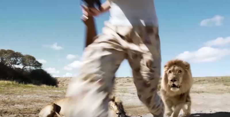 ▲男女獵獅後得意合照，竟遭另頭獅子從背後襲擊。（圖／翻攝自YouTube）